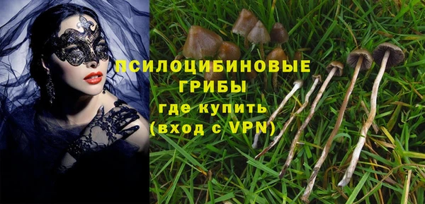 Альфа ПВП Беломорск