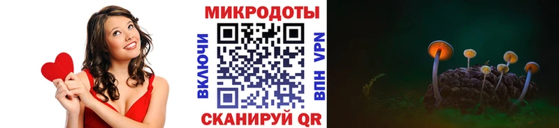 где купить наркоту kraken зеркало Галлюциногенные грибы Cubensis Пионерский